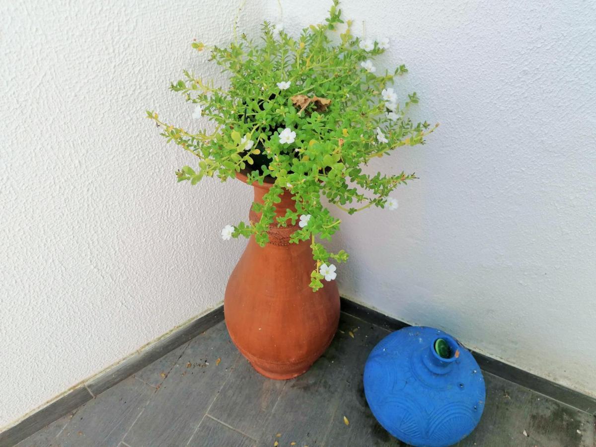 Lilac Homestay 세투발 외부 사진